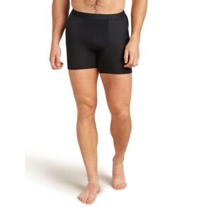 ICEBREAKER M Core Boxers, Black velikost: L