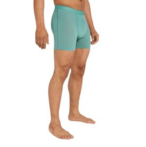 Pánské merino boxerky ICEBREAKER Mens Core Boxers, Cloud Ray velikost: L