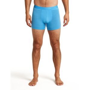 ICEBREAKER M 125 Cool-Lite Anatomica Boxers, Arctic velikost: XL