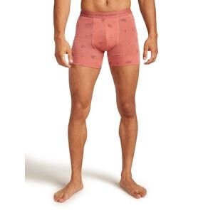 ICEBREAKER M 150 Anatomica Boxers Explore More, Plume/Aop velikost: XL