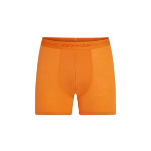Pánské merino boxerky ICEBREAKER Mens Anatomica Boxers, Ray velikost: XXL