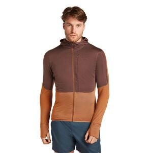 ICEBREAKER M 200 Realfleece Descender LS Zip Hoodie, Carob/Dusty Clay velikost: XXL