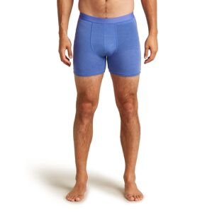 ICEBREAKER Mens Mer Core Boxers, Brilliant (vzorek) velikost: M