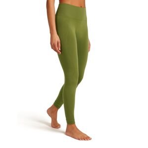 ICEBREAKER Wmns Mer 260 Zoneknit Seamless 25 Tights, Sphagnum (vzorek) velikost: S