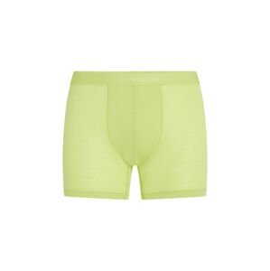 ICEBREAKER Mens 125 Cool-Lite Anatomica Boxers, Peridot (vzorek) velikost: M