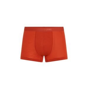 ICEBREAKER Mens 125 Cool-Lite Anatomica Trunks, Agate (vzorek) velikost: M