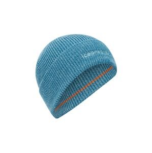 ICEBREAKER Unisex All Day Toque Beanie, Topaz/Hydro (vzorek) velikost: OS (UNI)
