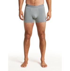 ICEBREAKER Mens Mer 125 ZoneKnit Boxers, Alloy (vzorek) velikost: M
