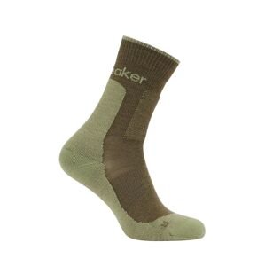 ICEBREAKER Mens Hike+ Medium Crew, Loden/Lichen (vzorek) velikost: M