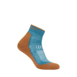 ICEBREAKER Mens Hike+ Light Mini, Topaz/Trail (vzorek) velikost: M
