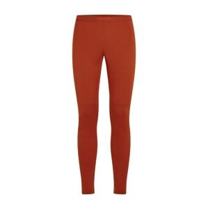 ICEBREAKER Mens 200 Oasis+ Leggings, Agate/Seaglass/Cb (vzorek) velikost: M