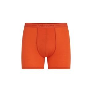 ICEBREAKER Mens Anatomica Boxers, Fervid (vzorek) velikost: M