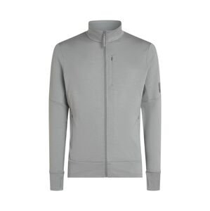 ICEBREAKER Mens 260 Quantum IV LS Zip, Alloy (vzorek) velikost: M