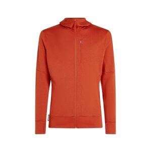 ICEBREAKER Mens 260 Quantum IV LS Zip Hood, Agate (vzorek) velikost: M