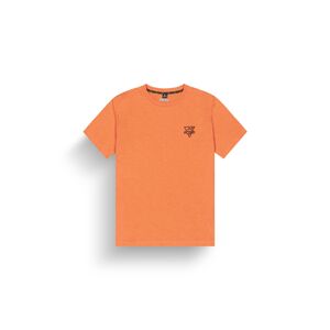 PICTURE Adak S/S, Dusty Orange velikost: L