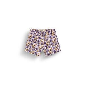 PICTURE Kintha, Alpine Thistle Print velikost: M