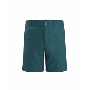 ICEBREAKER Mens Hike Shorts, Green Glory velikost: 38