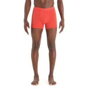 ICEBREAKER Mens Anatomica Cool-Lite Boxers, Vibrant Earth velikost: S