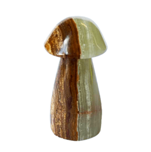 Onyxová velká houba