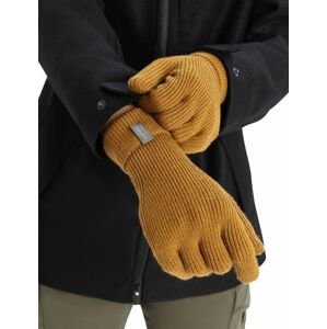 Rukavice ICEBREAKER Adult Rixdorf Gloves, Clove velikost: M