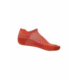 Pánské merino ponožky ICEBREAKER Mens Run+ Ultralight Micro, Vibrant Earth/Go Berry velikost: 39-41,5 (S)