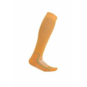Dámské merino ponožky ICEBREAKER Wmns Ski+ Ultralight OTC, Solar/Flux Green/Earth velikost: 41-43 (L)