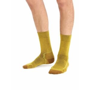 Pánské ponožky ICEBREAKER Mens Hike+ Medium Crew, Silent Gold/Clove/Shine velikost: L