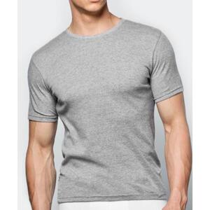 Atlantic Pánské tričko s krátkým rukávem - světle šedé  Velikost: S, Šedá / bílá