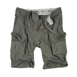 SURPLUS Kraťasy STARS BERMUDA ZELENÉ Barva: Zelená, Velikost: S
