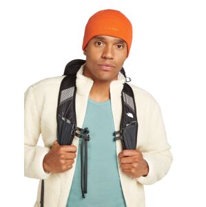 Unisex merino čepice ICEBREAKER U All Day Toque Beanie, Blaze velikost: OS (UNI)
