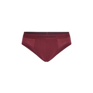 Pánské merino slipy ICEBREAKER Mens Anatomica Briefs, Port velikost: S
