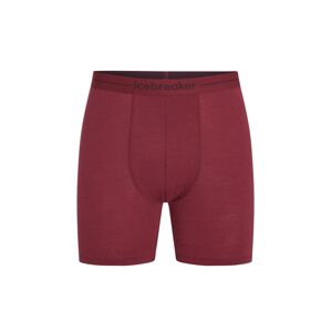 Pánské merino boxerky ICEBREAKER Mens Anatomica Long Boxers, Port velikost: S