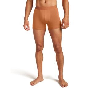 Pánské merino boxerky ICEBREAKER Mens 125 Cool-Lite Anatomica Boxers, Dusty Clay velikost: S