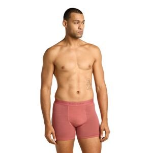 Pánské merino boxerky ICEBREAKER Mens Anatomica Boxers, Plume velikost: XS