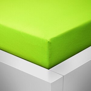 Top textil Prostěradlo Jersey Standard 180x200 cm zelená