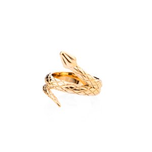 franco bene Pozlacený prsten ve tvaru hada Velikost prstenu: 6 (52 mm)