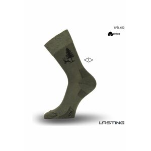 Lasting LFSL 620 Bavlněné zelená Velikost: (38-41) M ponožky