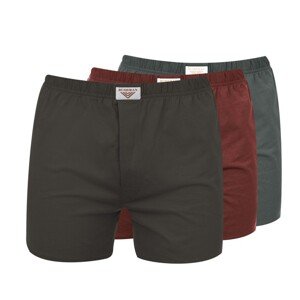 Pánské trenýrky bushman nicolas 3pack hnědá/červená/šedá 4xl