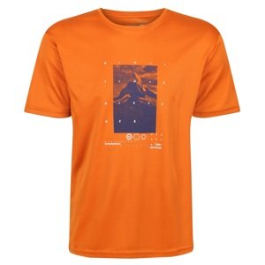 Pánské funkční tričko regatta fingal vi oranžová xxl