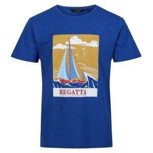Pánské bavlněné tričko regatta cline vii modrá xxl